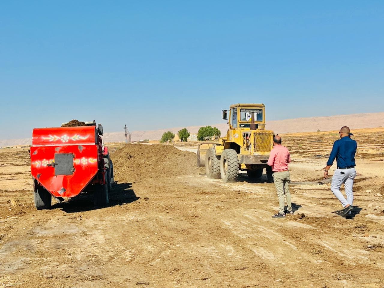Afroland Announces the Start of Tomato Cultivation in Luxor at the New Esna Gardens Project