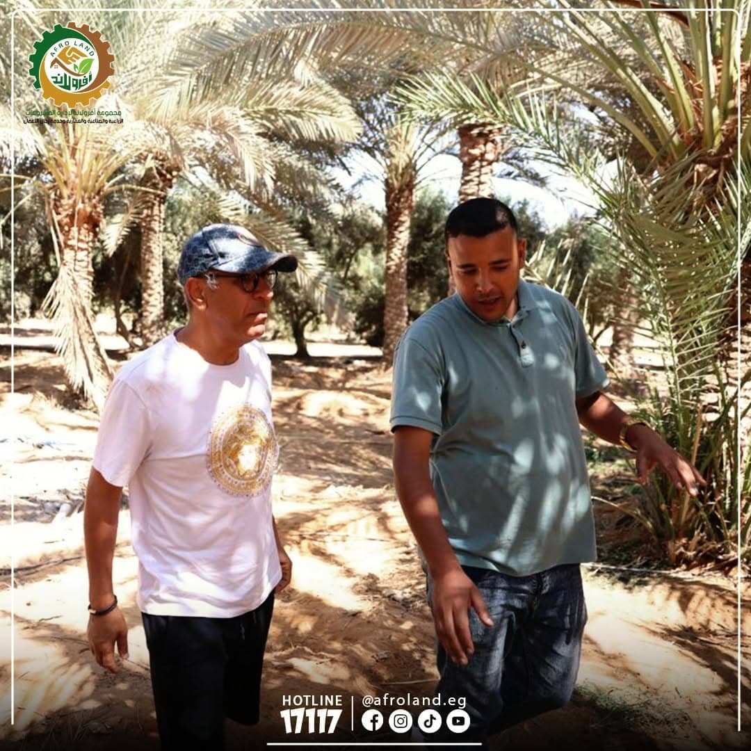 **AfroLand Project Management Announces Pre-Purchase Inspections for Productive Assets in Egypt